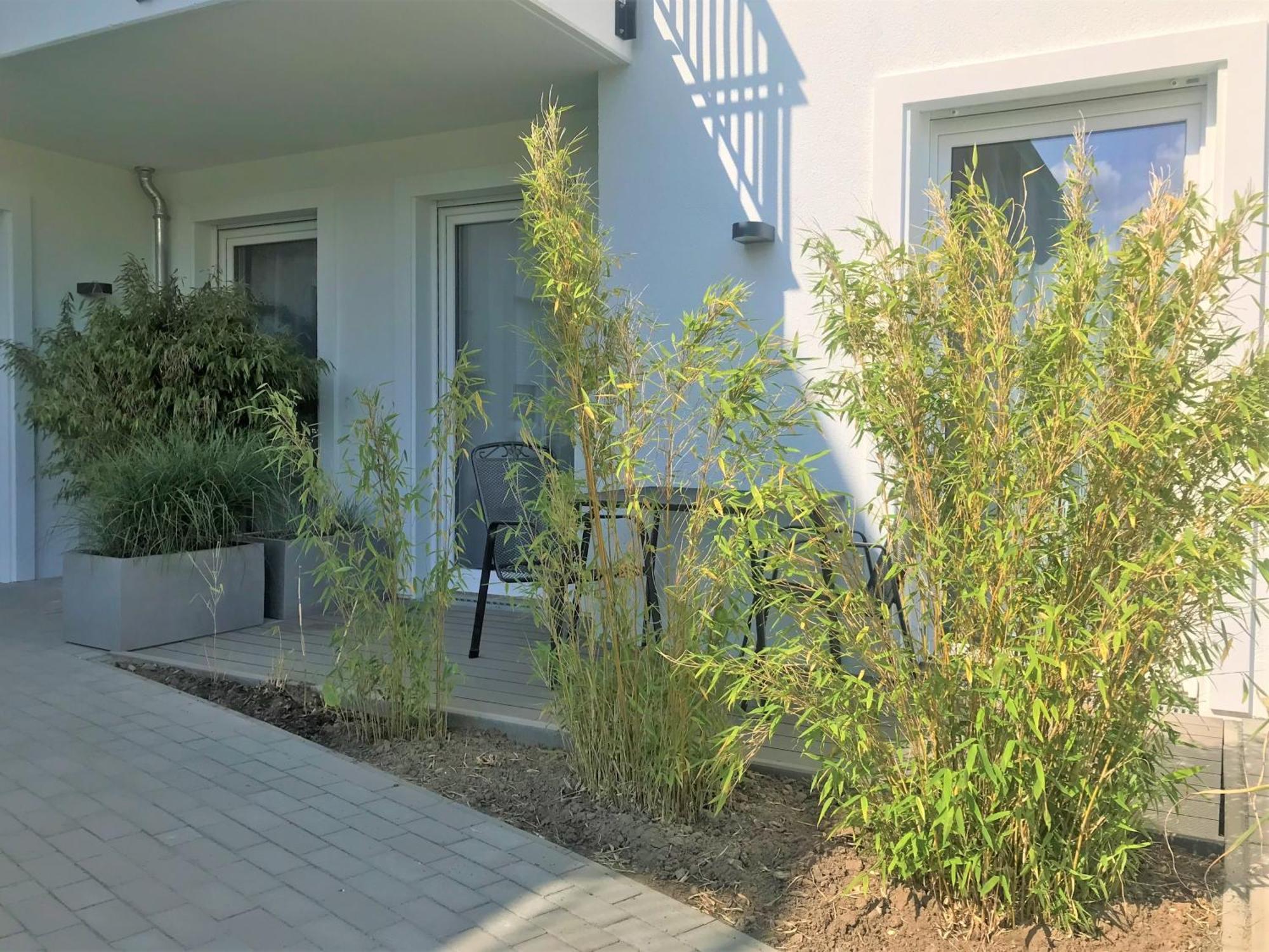 App 6, Strandresidenz Duenenperle Ostseebad Kühlungsborn Eksteriør billede